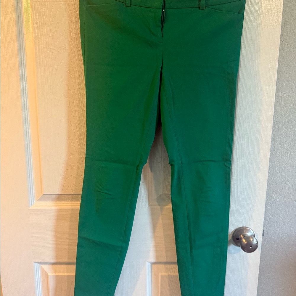 The Limited Green Skinny Pants Tailored Fit